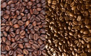 Services perbedaan robusta dan arabika